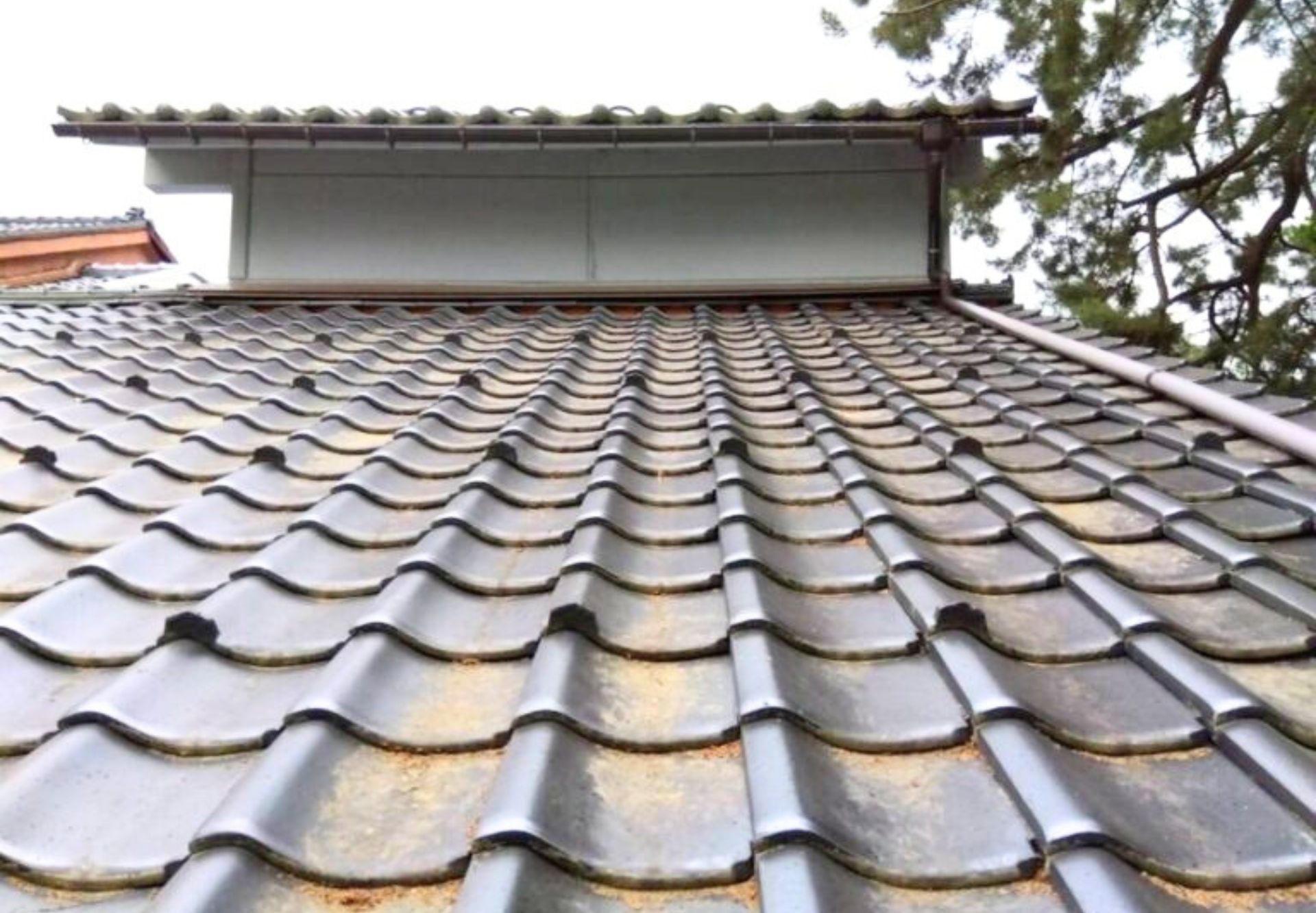 金沢市　戸建て　屋根・雨樋清掃