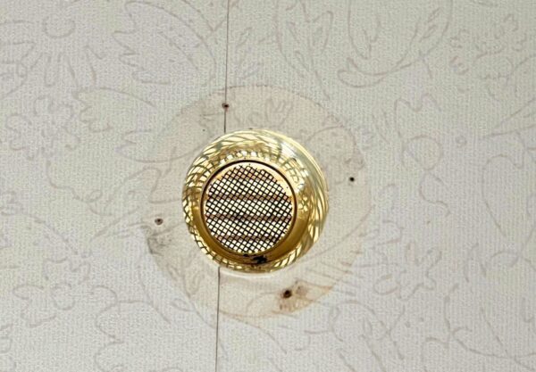 金沢市　戸建て　コウモリ駆除